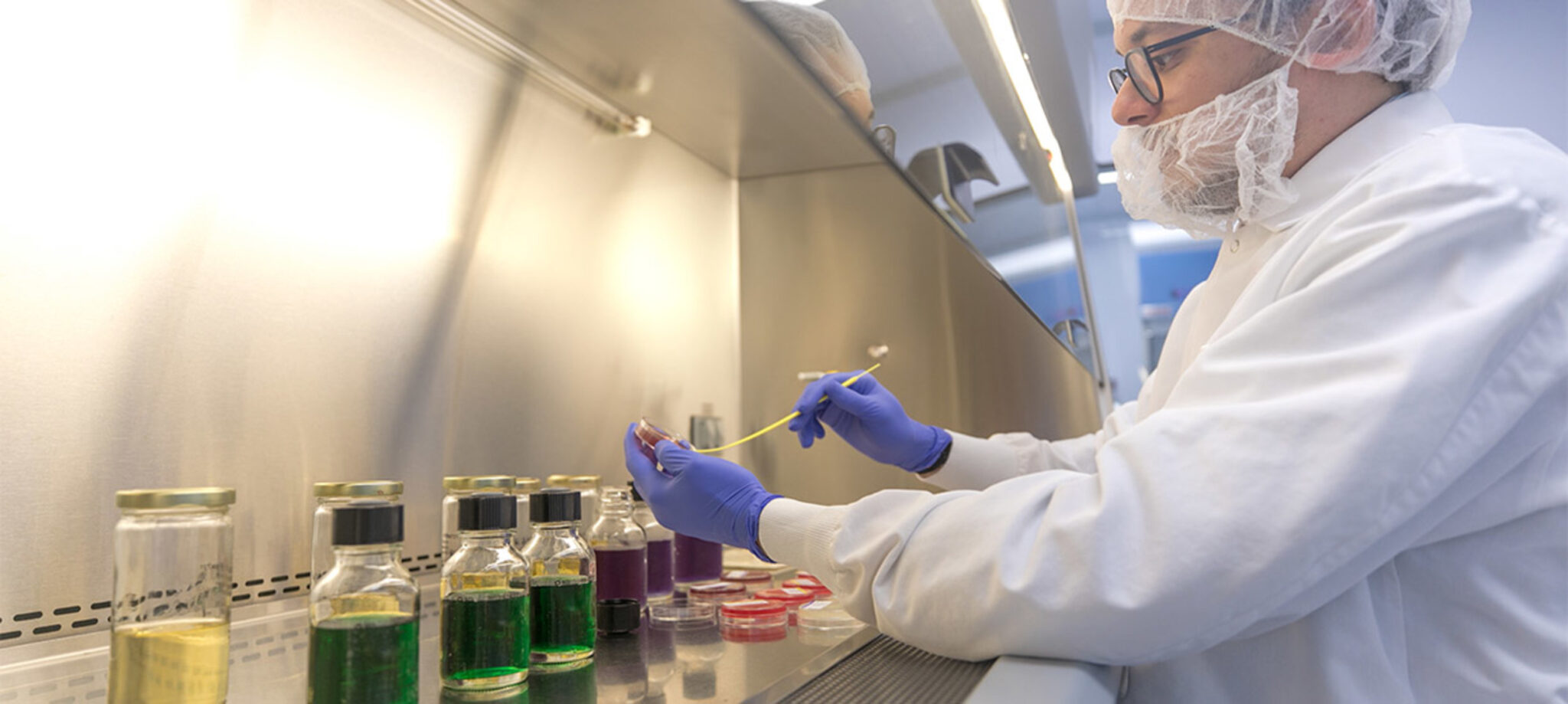 Top 10 Best Paint Companies in World FirmsWorld