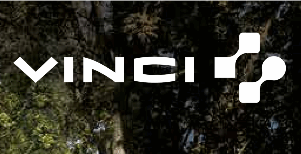 VINCI SA: 2025 In-depth Company Profile with Complete details 1 VINCI SA 2025 In-depth Company Profile with Complete details