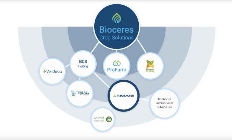 Bioceres Crop Solutions Corp: Comprehensive Profile